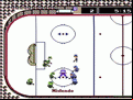 Ice Hockey