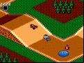 Buggy Run
