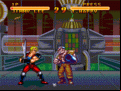 Double Dragon V: The Shadow Falls