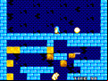 Penguin Land